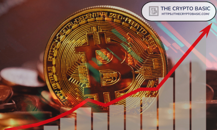 分析师预测比特币技术目标价将达到16.9万美元，杯柄形态已呈现完整