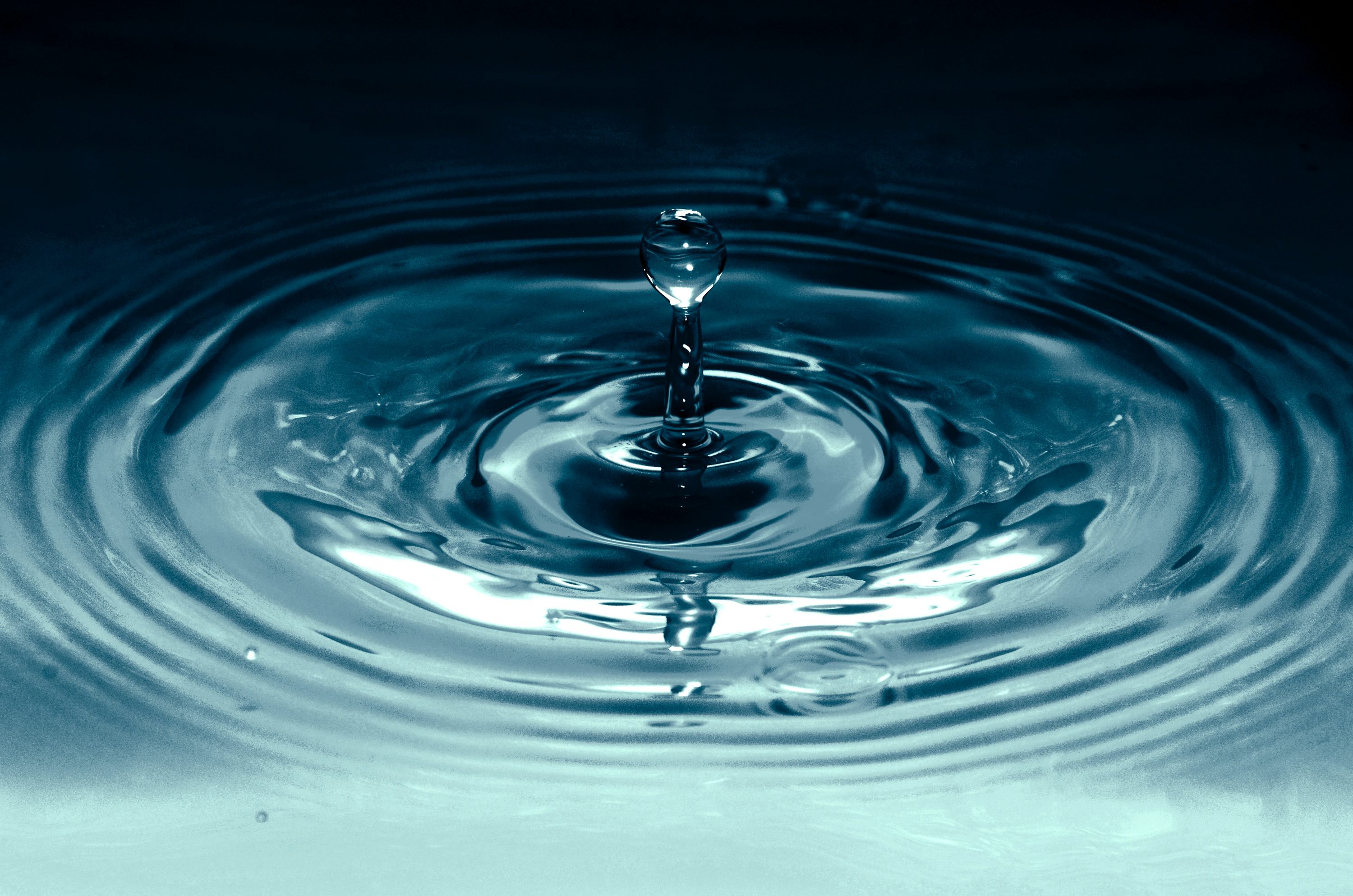 Ripple 首席技术官加入战局,回应 Caitlin Long 对 XRP 中心化的批评