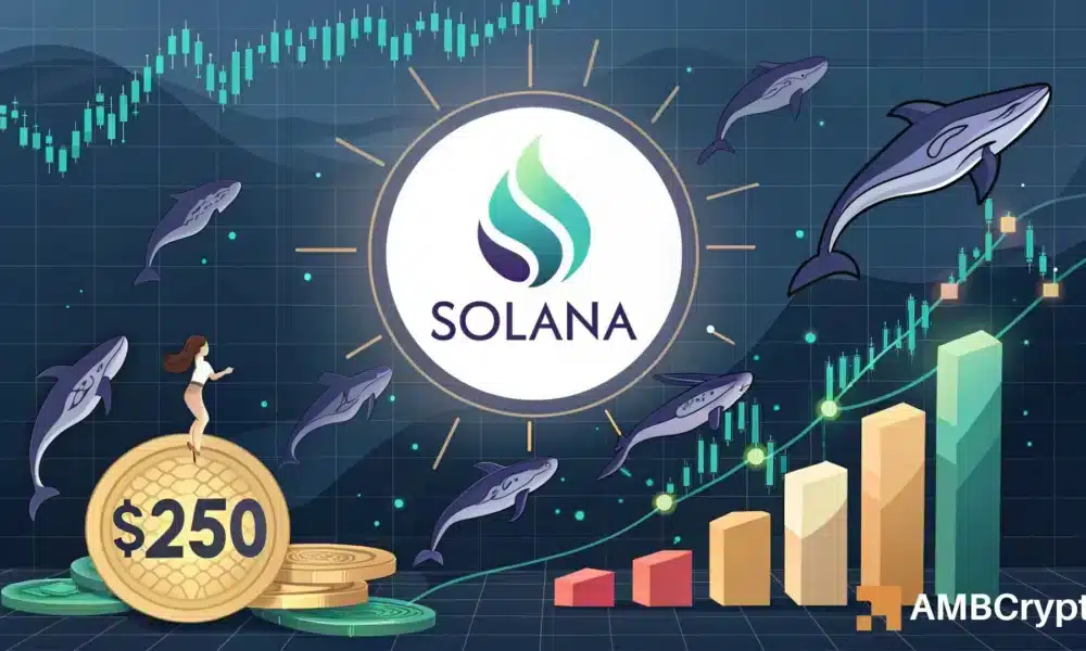 Solana – How Million Inflows Into SSK ETF Drive SOL Price Surge to 0
